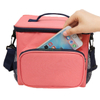 Customized Small Foldable Felt Cooler Bag