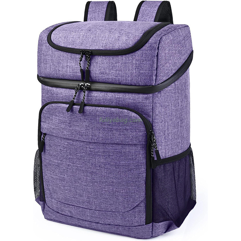 Wholesale Hiking Camping Beach Large Capacity Insulated Oxford Back Pack Custom Soft Cooler Bag Backpack for Beverages